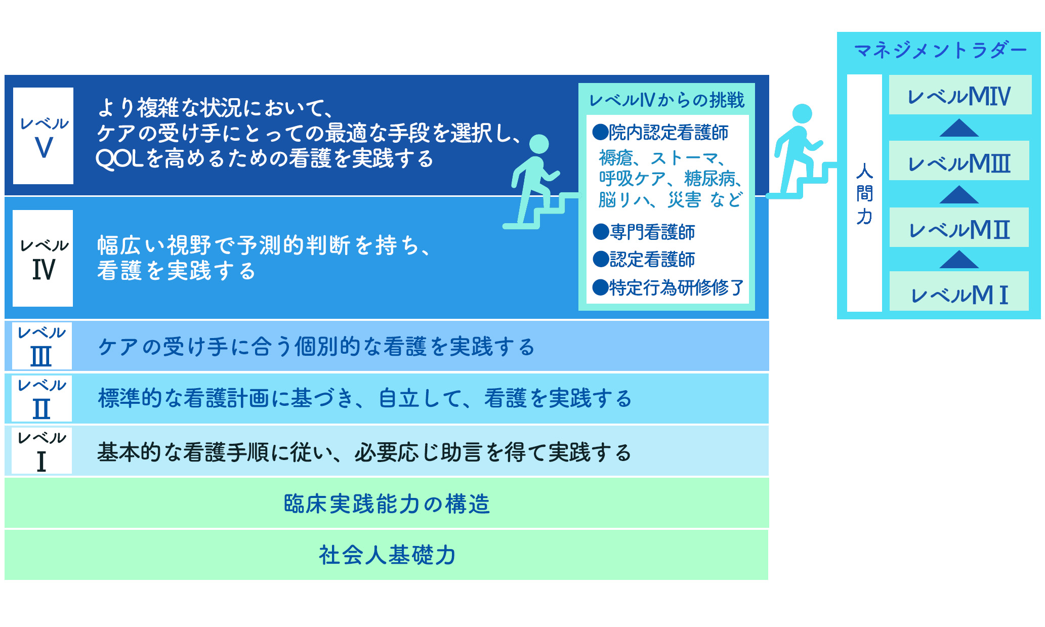 看護部クリニカルラダー ステップアップ図