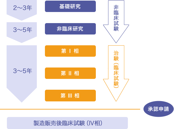 薬ができるまでの流れ図